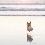 <b>여수</b>밤바다 짱구 나만 안됨????