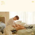 [세븐틴] 차니 쩐다