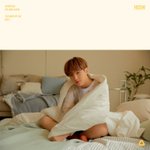 [세븐틴] 플디 뭐야