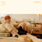 [세븐틴] 부승관 <b>반바지</b> 입힌 놈 누구야?