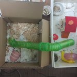 둥지를 짓고있는거 같은데..이건~~