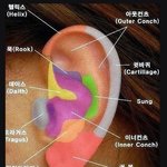 귀 처음 피어싱할때 어디<b>위치</b>가 젤 좋아?