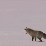 짝남 <b>족</b>같아