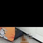 [꼭도움요청] 부산 덕천 똥테러범 찾습니다