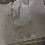 우리집 고양이 <b>만행</b>을 좀 봐라
