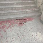 [드루와] 뚱뚱하면 어때