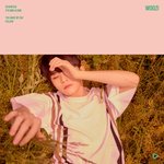 [세븐틴] 우리 <b>보보</b>ㅠㅠ