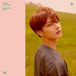 [세븐틴] 소리지를뻔