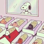 [ㅋㅋㅋㅋㅋ] 시험기간되면 과목 버려도 되냐는 글 많음