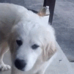 [댓글부탁해] 인스타에 <b>래퍼</b> 콘서트 본거 영상 올릴<b>때</b>