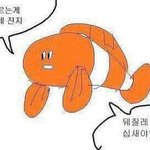 [댓글부탁해] 젤리찬<b>양녀</b> 아는 사람 없누