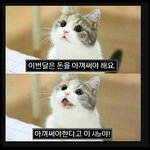 뭐가 좋은거죠?