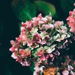 [은혜찬양] "<b>구주</b>의 십자가 보혈로 " 찬양가사 - 아멘충성이인강