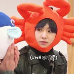 [세븐틴] 오늘티저 파란<b>필터</b>는 아니겠지