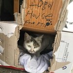 이던 반전매력 공개함 컴온