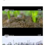 [NCT] 이태용 개귀여워 ㅋㅋㅋㅋㅋㅋㅋㅋㅋ