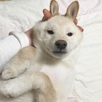 [드루와] 띵곡 추천하고가 !0!