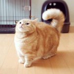 [ㅋㅋㅋㅋㅋ] 피 잘보는 사람 드루와방
