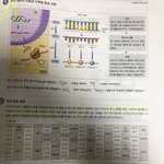 [고1생명과] 제발알려줘제발