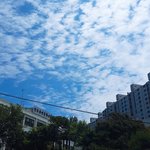 [ㅈㄱㄴ] 갤럭시<b>탭</b>으로 할거<b>추천</b>좀