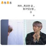 [강다니엘] 강다니엘 시리즈 코룽이버전ㅋㅋㅋㅋ