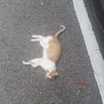 힙한 쇼핑몰 추천좀..ㅜㅜㅜㅜ