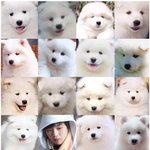 [강다니엘] 숨은 다니엘 <b>찾기</b>