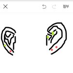[댓글부탁해] 나 내일 <b>연골</b> 피어싱할건데