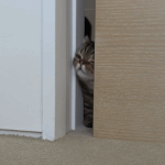 남친이 <b>채소</b> 편식하면 어떻게 생각해??