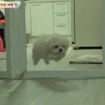 [댓글부탁해] 혹시 여기서 브라 안하는 사람 있어??