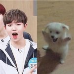 [드루와] 단발치고 파마할까 <b>상한</b>것만 자르고 파마할까?