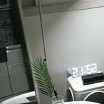 이 <b>식물</b> 이름 뭐냐