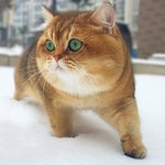[드루와] 꿈을 꿨어 들어쥬!