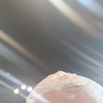 나 지굼 <b>탈색</b>한다