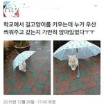 [댓글부탁해] 읍,면 동네 살면 <b>대입</b>때 꿀빤다는게 뭐야