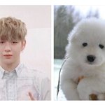 [강다니엘] 멈<b>무야</b> ㅋㅋㅋㅋㅋㅋㅋㅋㅋㅋ