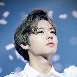 [댓글부탁해] 그저께 대만에서 난리난 박지훈