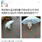 [조언부탁해] 남자 골수팬과 여자 골수팬의 큰 차이