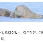 솔직히 10대한테 <b>화장</b> 안하는게 낫다고 하는거 이해 안감