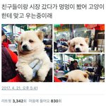 [댓글부탁해] 너넨 대체 왜 살아?