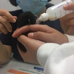 <b>천안</b>)아깽이 분양받으실분 없나요ㅜㅜ