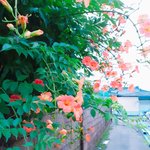 새벽<b>산책</b>했따!