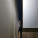 <b>북문</b>이하고 시장이는 난리가 났는데~~~