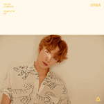 [세븐틴] 현재까지 나온 컨셉포토로 만든 움짤 파티