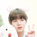 [박지훈] ❤️<b>토끼</b>인간❤️
