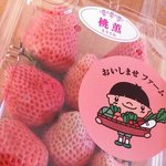 [프듀48] 프듀 48그룹 참가자 기수별 정리