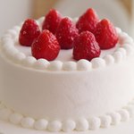 [드루와] 와 나오늘 <b>난민</b>봄