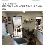 [드루와] 너넨 작년이랑 올해중에서