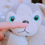 우리 브라우니 <b>기엽</b>징