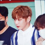 [강다니엘] 공항플뷰 <b>완전</b> 다니엘도련님